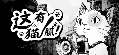 这有猫腻